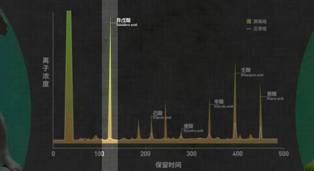 酸爽实验解答为什么你的脚这么臭？
