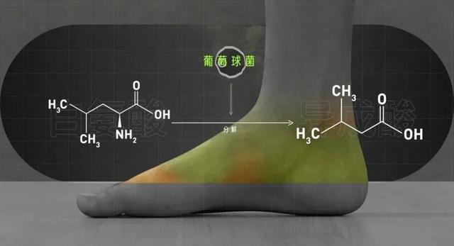 酸爽实验解答为什么你的脚这么臭？