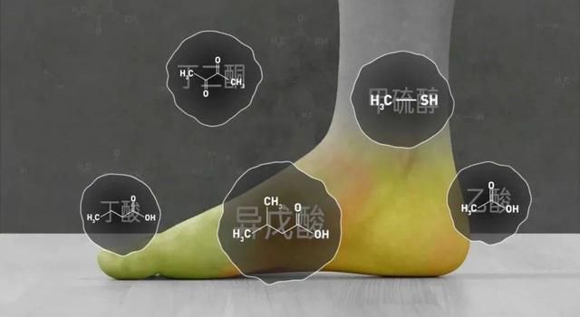 酸爽实验解答为什么你的脚这么臭？
