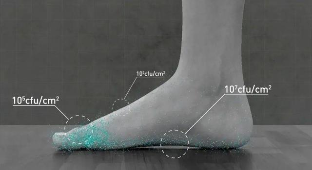 酸爽实验解答为什么你的脚这么臭？