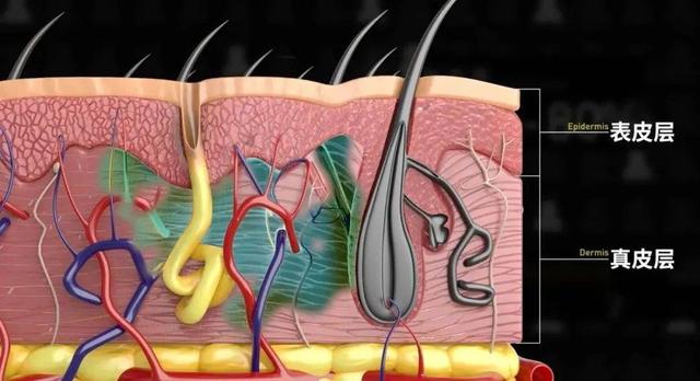 酸爽实验解答为什么你的脚这么臭？