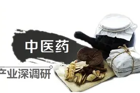 粤版“汉方药”发力中药现代化｜中医药产业深调研⑥图片