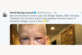 6岁男孩护妹与恶狗搏斗受伤被缝90针，WBC授其荣誉拳王称号图片