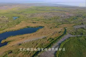 守湖者图片