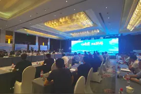 区域位置优、设施配套全——邳州召开土地推介会 21幅地块集中“相亲”图片