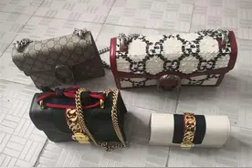 女大学生网购奢饰品包包，多次高仿退货“以假换真”被刑拘图片