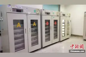 山东将紧急调配60万毫升救命血液支援湖北图片