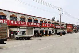 「深度」探访“中国蛋鸡之乡”：蛋价半年跌去近六成，养殖户瞄准下一轮好行情图片