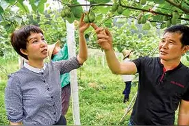 仫佬族卖菜妹子怀揣300元跳出大山“寻梦”，她寻到了吗？图片