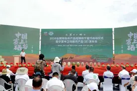 中卫功能农产品（云）发布，2000万“吃瓜群众”关注中卫硒砂瓜开园图片