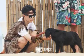 钟楚曦加盟《夏日冲浪店》黄明昊开沙滩演唱会图片