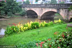 湖北夷陵：小微水体河湖长全覆盖图片