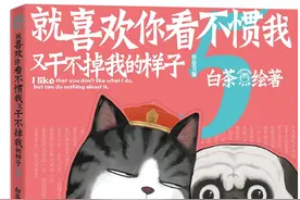 “吾皇”又驾到，这回是更成熟的猫咪图片