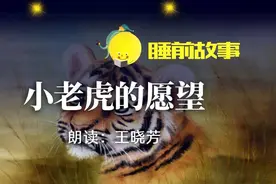 睡前故事丨小老虎的愿望图片