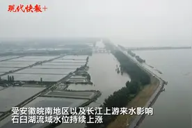 洪水红色预警下的石臼湖：水平面逼近堤岸，沿线24小时巡查值守图片