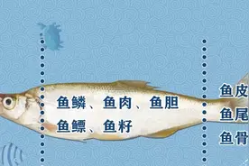 河鱼鱼籽最好不要给小孩吃，可不是谣言哦图片