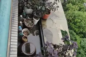 杭州大伯卡在11楼雨篷破洞里，手抓边苦苦撑着！老婆吓得双腿发软……图片