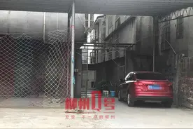 吃光3只鸡1只鸭！大狗闯入百饭路居民家“大快朵颐”，特警出动当场击毙图片