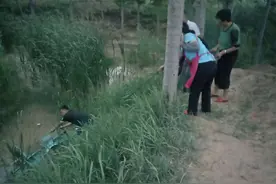 邹平七旬老夫妻勇救81岁落水老人图片