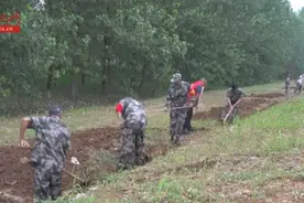 上阵父子兵！他们是父子，更是奋战在抗洪一线的“战友”图片