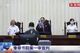 倒下的豫章书院，不过是网戒黑产的冰山一角图片