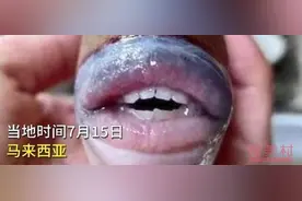 长着人类牙齿和嘴唇的怪鱼图片 详情后续曝光真相竟是这样的图片