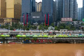 洪水过境重庆主城区 海棠溪码头被淹图片
