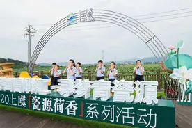 赏十里荷塘，探青瓷之源，绍兴上虞重现千年瓷韵图片
