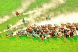 光明文化周末：草原骏马赞图片