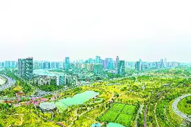 “双城记”下的“十字方针”图片
