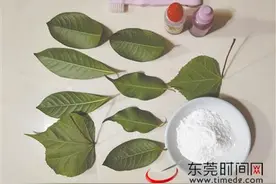 周末来个亲子活动？制作精美的叶脉书签图片