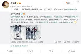专访｜金世佳：我越来越不较真了图片