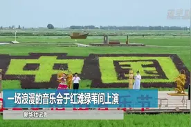 一场浪漫的音乐会于红滩绿苇间上演