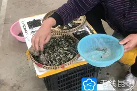 云南女子吃菌中毒手舞足蹈“抓小人”看“小精灵”，野生蘑菇你别乱采图片