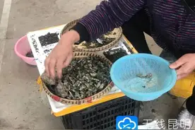 云南女子吃菌中毒手舞足蹈“抓小人”看“小精灵”，野生蘑菇你别乱采图片