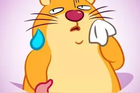 震惊！90后男子搞垮数家跑车俱乐部图片