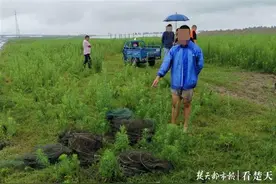 明知禁渔照捕不误，表兄弟双双被刑拘图片