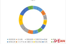 关注鸟撞玻璃现象！两个成都人做了份报告，盼悲剧少发生图片