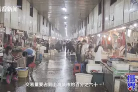 漫步真如，窥700年前上海古镇的样子图片
