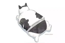 我存了好多猫片，一张比一张沙雕 | 有趣便利店图片