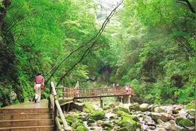 夜宿秦岭图片