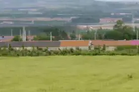 乡村“首席专家”裂变之路图片