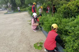 “星星之火”再实践，帮助环卫工爷爷打扫卫生图片