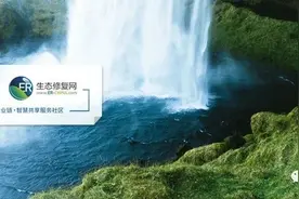 「专家视角」污染的土地如何做生态修复？图片
