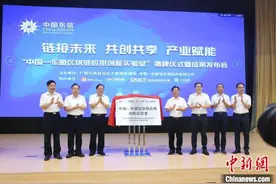 中国—东盟区块链应用创新实验室在南宁揭牌图片
