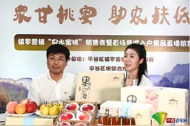 北京平谷镇罗营“泉甘桃蜜”开启直播秀！网友“拼单”4000余份助农增收图片