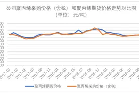 蒙泰股份原材料入账成本违背政策核算逻辑，货币资金真实性存疑图片