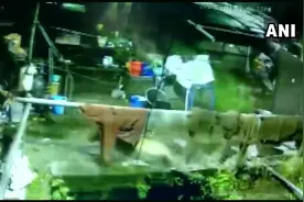 战力碾压！豹子闯入印度民居一口叼走宠物狗图片