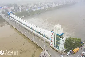 时隔13年，又见“王家坝精神”图片