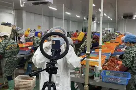 这个连云港妹子冒雨驱车千里，为湖北老乡做了一件事……图片